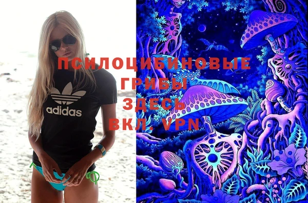 PSILOCYBIN Козельск