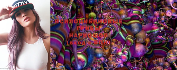 PSILOCYBIN Козельск