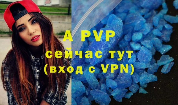 СК Кодинск