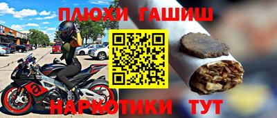 дурь Бердск