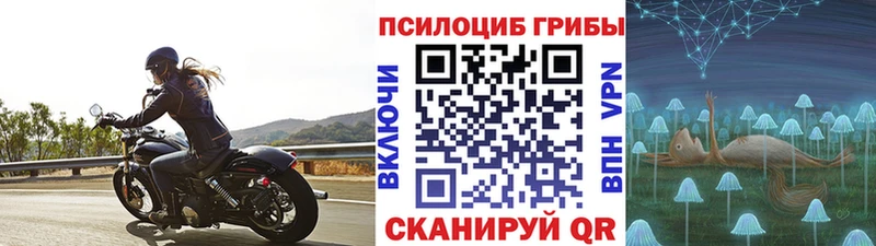 Галлюциногенные грибы GOLDEN TEACHER магазин продажи это телеграм Барнаул